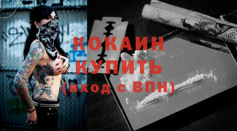 Cocaine Fish Scale  Гвардейск 